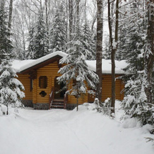 Eco-Hotel Berezovaya Roscha, Yakhroma — photo 3
