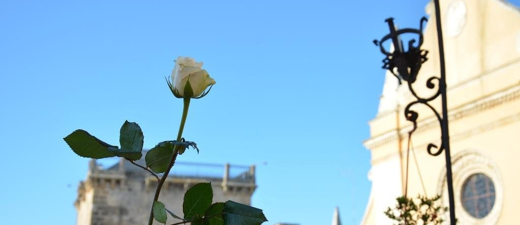 Apulia '800, 圣彼得罗韦尔诺蒂科 — 照片 1