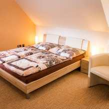 Golf Resort Česká Lípa, 新博尔 — 照片 4