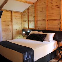 Kameel Rust and Vrede B & B and Camping, 弗赖堡 — 照片 3