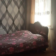 Gios Guest House, Боржоми — фото 2