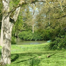 Gîtes de Launay Guibert, Miniac-Morvan — photo 5