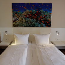 Friendly City Hotel Oktopus, Siegburg — photo 4