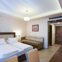 Hotel Borkovac, 鲁马 — 照片 4