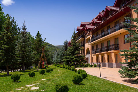 Tsakhkadzor Marriott Hotel, Цахкадзор — фото 1