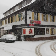 Hotel Athena Palace, Alpirsbach — photo 4