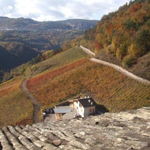 Agriturismo Maso Besleri, 洛纳-拉塞斯 — 照片 4