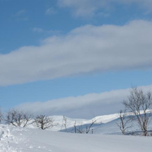Laisalidens Fjällhotell, Сторуман — фото 2