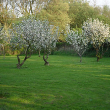 Domaine De La Ronville, 维米勒 — 照片 2