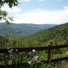 La Collina Degli Scoiattoli, 克拉万扎纳 — 照片 4