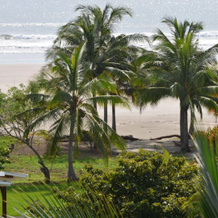 Zen Spirit Yoga Resort, 哈维亚 — 照片 3
