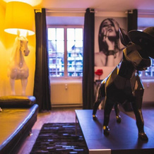 Les Appartements d'Alicia Obernai, 奥贝奈 — 照片 3