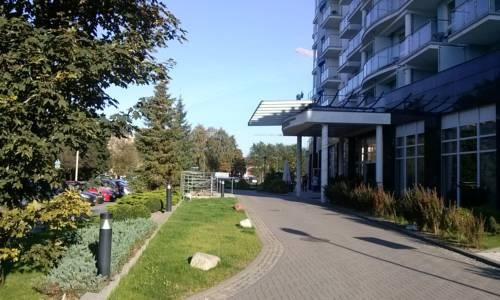 Piano Diva, Trzebiatow — photo 1