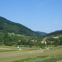 Guest House Kmetija, Ribnica — photo 4