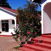 kilnopark hotel machame, 乞力马扎罗 — 照片 2