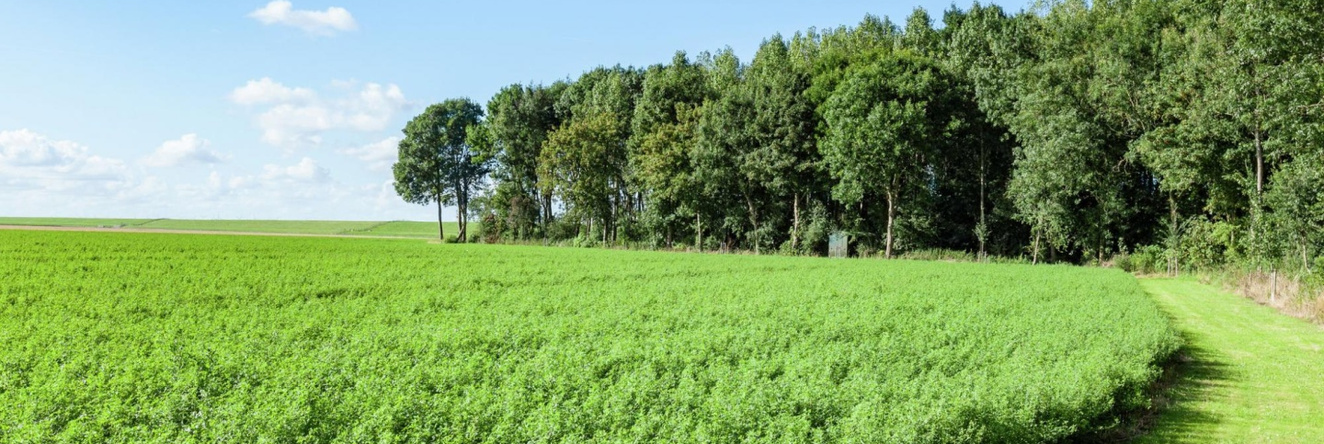 Peaceful Vacation Home With Wide View, 米德沃尔达 — 照片 1