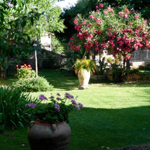 L'Enclos du Micocoulier, Nages-et-Solorgues — photo 5