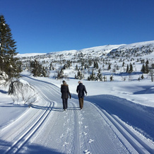 Skeikampen Booking, Skei — photo 4
