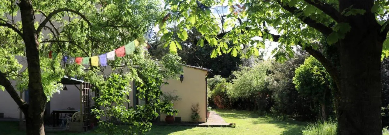 Agriturismo Bethsaid, Fauglia — photo 1