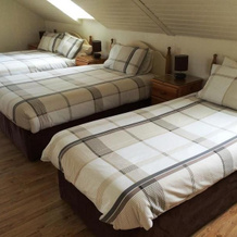 Doonhill Lodge, Балликоннели — фото 2