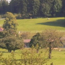 Horsehillcenter, 苏尔根 — 照片 2