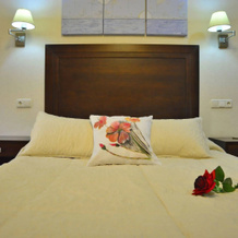 Hotel & Spa Plaza Arriate, Арриате — фото 3