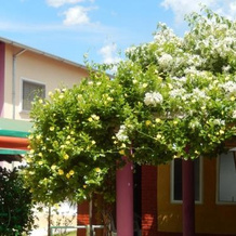 Hotel Villerejo, Abadiania — photo 2