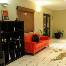 Best Western Bungil Creek Motel, 罗马 — 照片 2