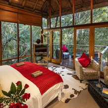 Trogon House and Forest spa, 库尔兰 — 照片 3