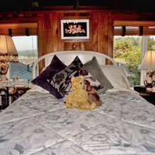 Cliff House Bed & Breakfast, Waldport — photo 3
