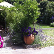 Casa al Lido, Minusio — photo 3