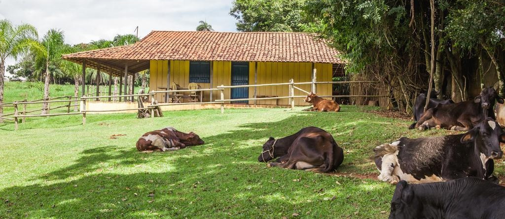Hotel Fazenda Igarapés, Mario Campos — photo 1