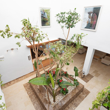 Apartment hotel THB Guya Playa, 卡普德佩拉 — 照片 3