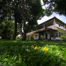 Green Palace Ayurveda Resort, 查姆帕库拉姆 — 照片 3
