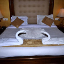 Hotel The Oasis, 萨哈兰普尔 — 照片 5