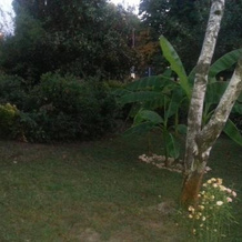 Bhakti Bed  Breakfast, Granarolo dell'Emilia — photo 4