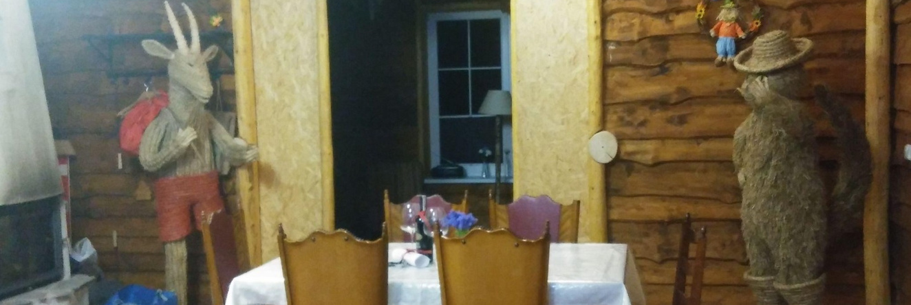 Cozy Holiday Home in Posada Górna with Barbecue, 伊沃尼奇-兹德鲁伊 — 照片 1