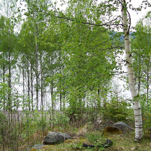 4 Person Holiday Home in Östmark, 托什比 — 照片 3