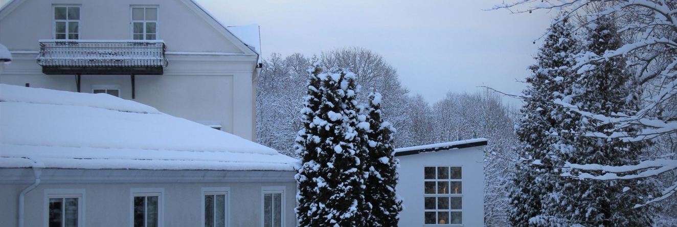 Blommenhof Hotel, 尼雪平 — 照片 1