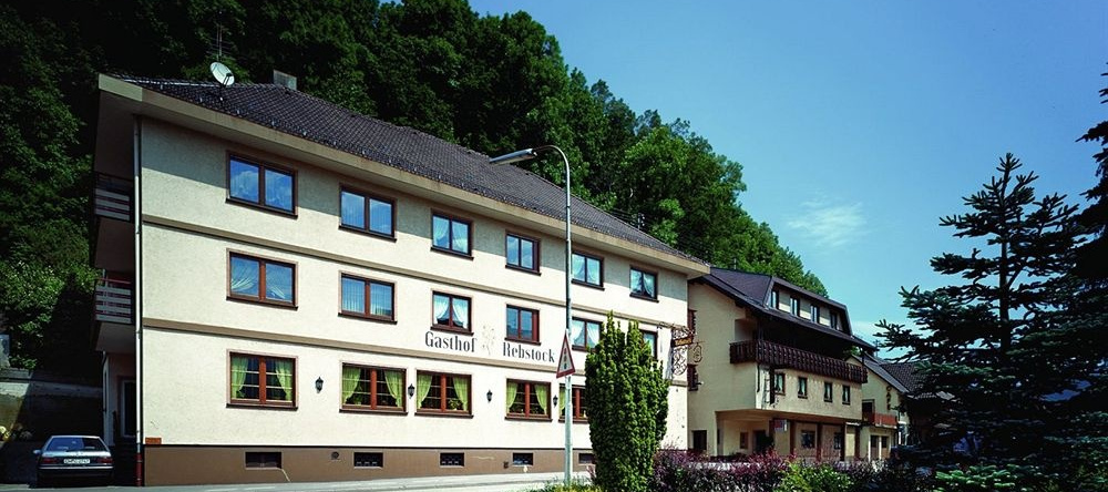 Gasthof-Hotel Rebstock, 温登伊姆埃尔茨塔尔 — 照片 1