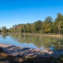 VVF Nature Parc Sologne Berry, Neuvy sur Barangeon, 巴朗容河畔讷维 — 照片 5