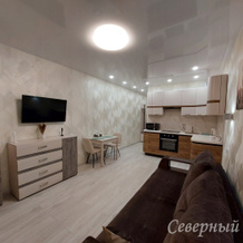 Апартаменты "Северный Берег" В Самом Сердце Города На Поморской, Архангельск — фото 4