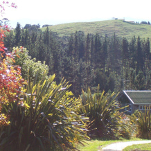 Westwind Homestay B & B, 怀塔卡鲁鲁 — 照片 2