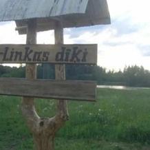 Linkas Dīķi, Цесвайне — фото 4