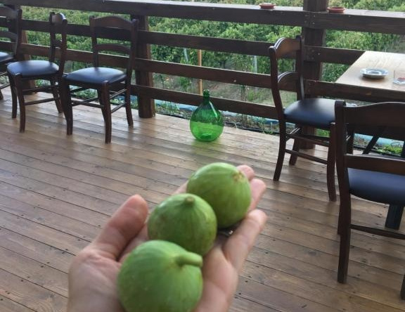 Agriturismo Tenuta Lagala, Venosa — photo 1