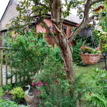 Hollingworth Lake Guest House Room Only Accommodation, 利特尔伯勒 — 照片 5