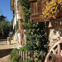 Agriturismo Corte Pellegrini, Сан-Мартино-Буон-Альберго — фото 4