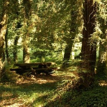 Quinta Da Fontoura, Албергария-а-Велья — фото 3