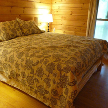 Horseshow Hideaway – Pet Friendly Cabin, 7 Minutes to TIEC, 拉瑟福顿 — 照片 2
