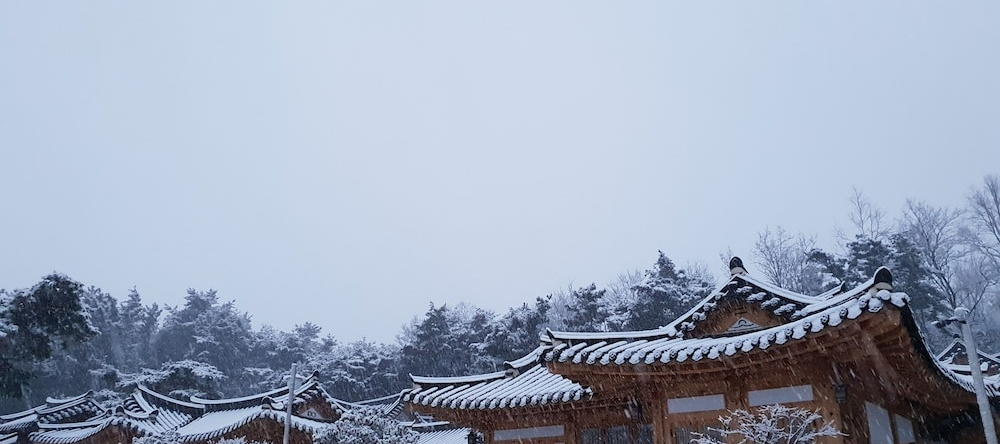Donghae Hanok Donganjae, 东赫 — 照片 1